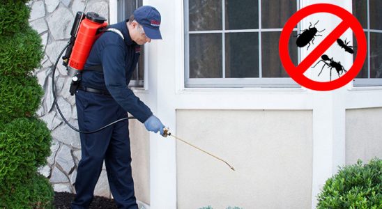 Rize Böcek İlaçlama böcek ilaçlama ve haşere kontrolü — ilaclama-tr.com